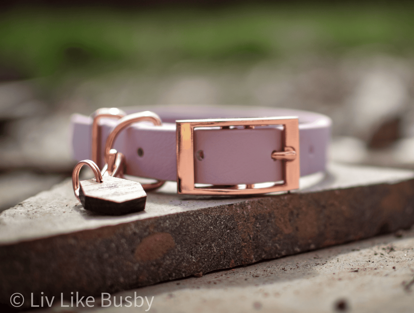 Miniature Dog Collars | Pastel Colours