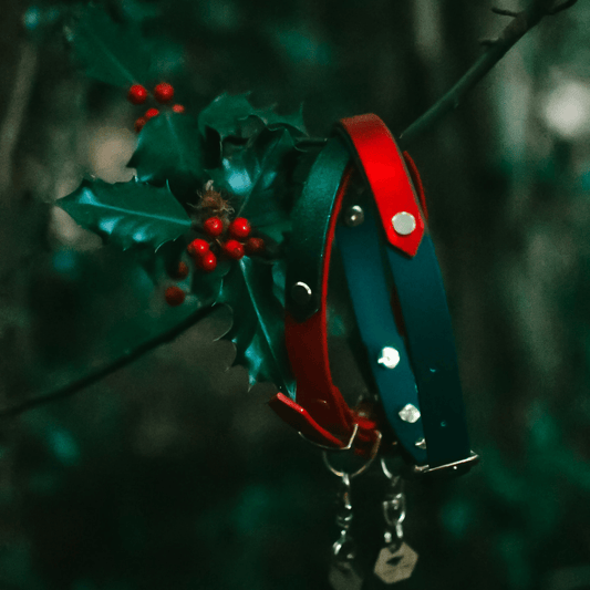 Festive AF Glitter Biothane Collar