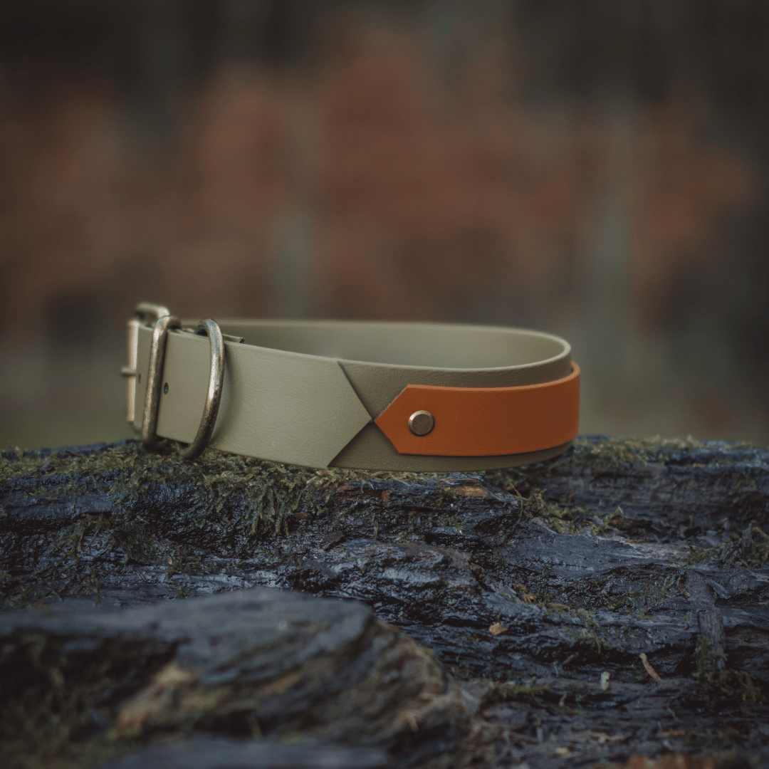 Olive & Tan Biothane Dog Collar