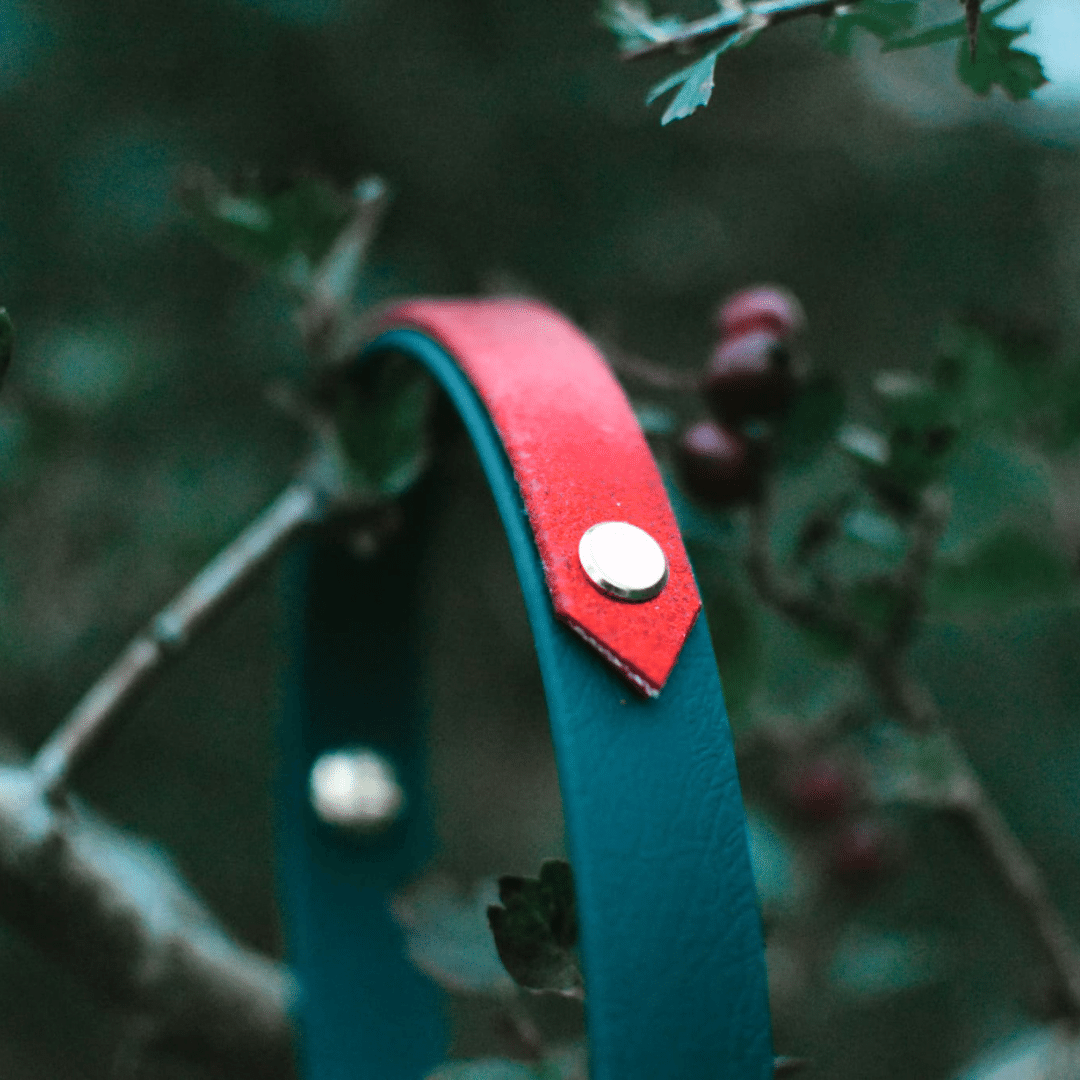 Festive AF Glitter Biothane Collar