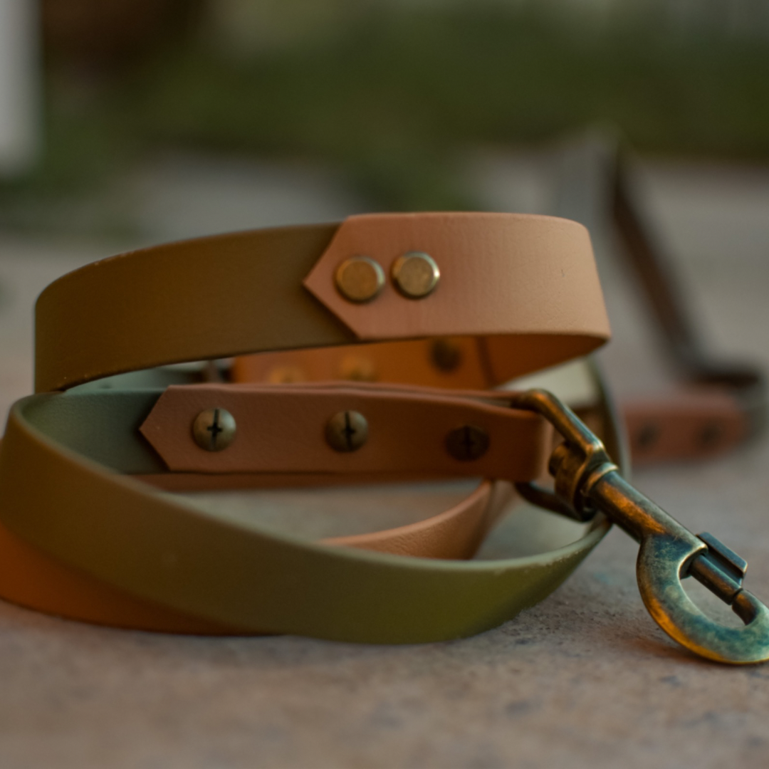 Olive & Tan Biothane Dog Collar
