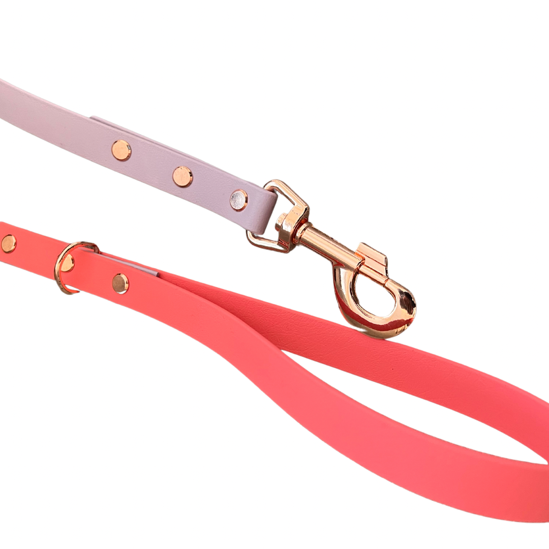 Biothane 2024 dog leads