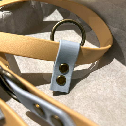 Adjustable Hands-Free Dog Lead Attachment