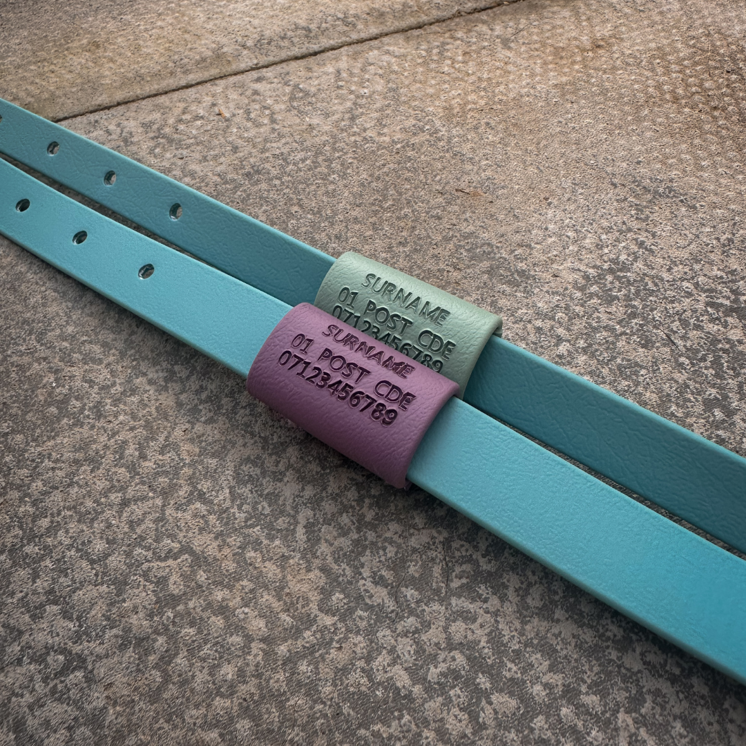Is Your Dog Legal? UK Dog Tag Laws & The Microchip Myth Explained
