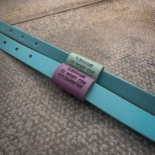Is Your Dog Legal? UK Dog Tag Laws & The Microchip Myth Explained