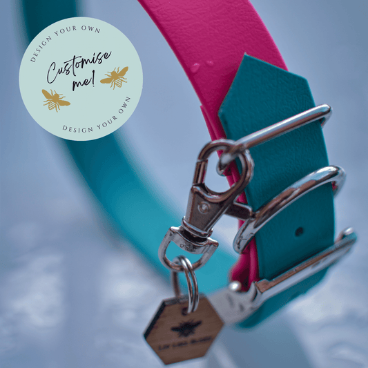 Two colour dog collar with a 'customise me' sticker 