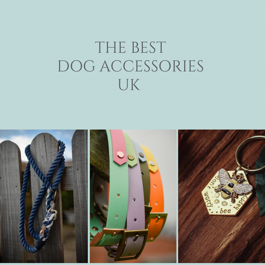 Dog Accessories UK - top dog accessories made in the UK