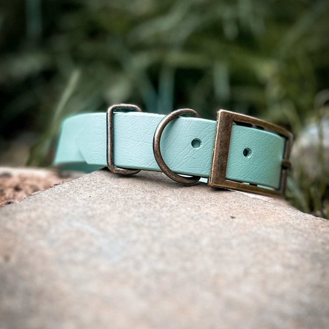 Sage Dog Collar