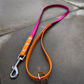 Ready to Ship: Biothane Dog Leads
