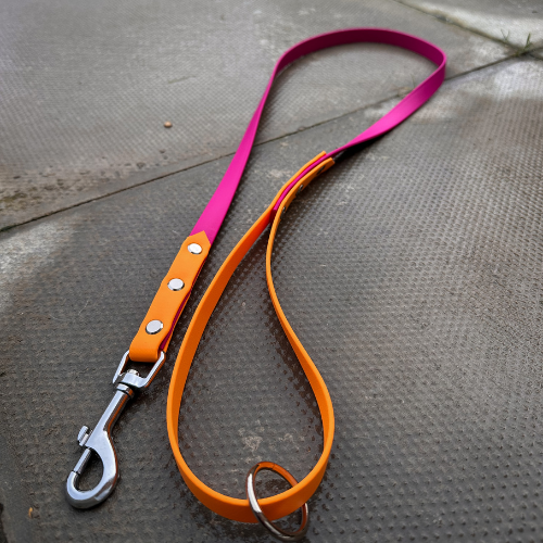 Ready to Ship: Biothane Dog Leads