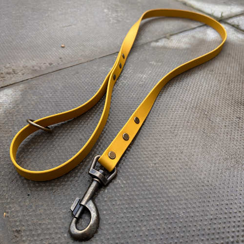Ready to Ship: Biothane Dog Leads