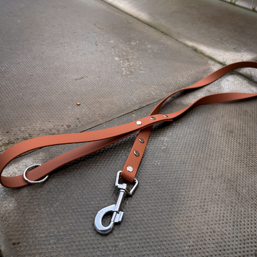 Ready to Ship: Biothane Dog Leads