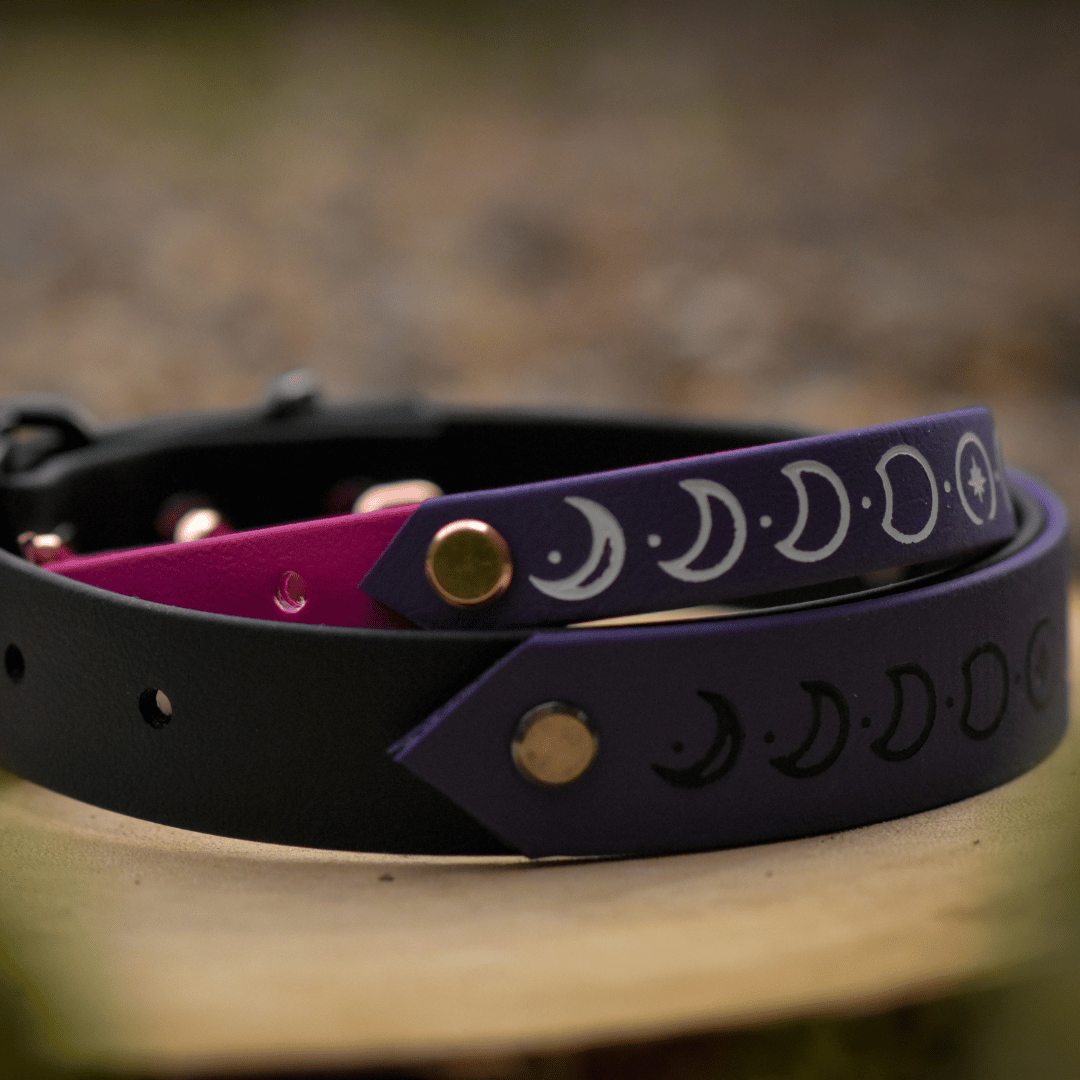 Moon phase dog collar in purple and black colours