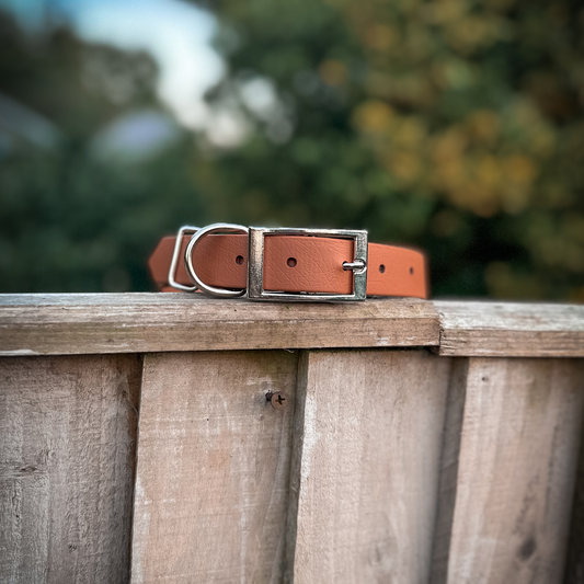 Ready to Ship: Classic Tan Dog Collar