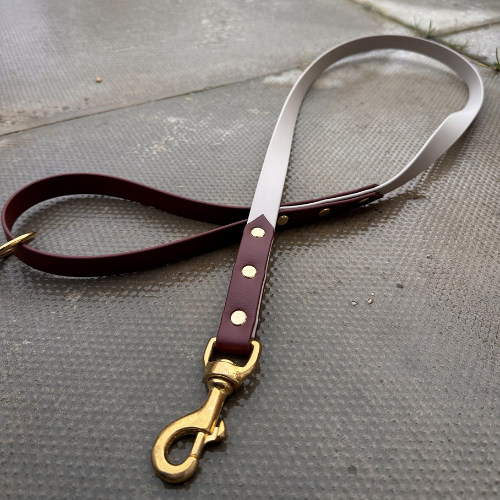 Ready to Ship: Biothane Dog Leads
