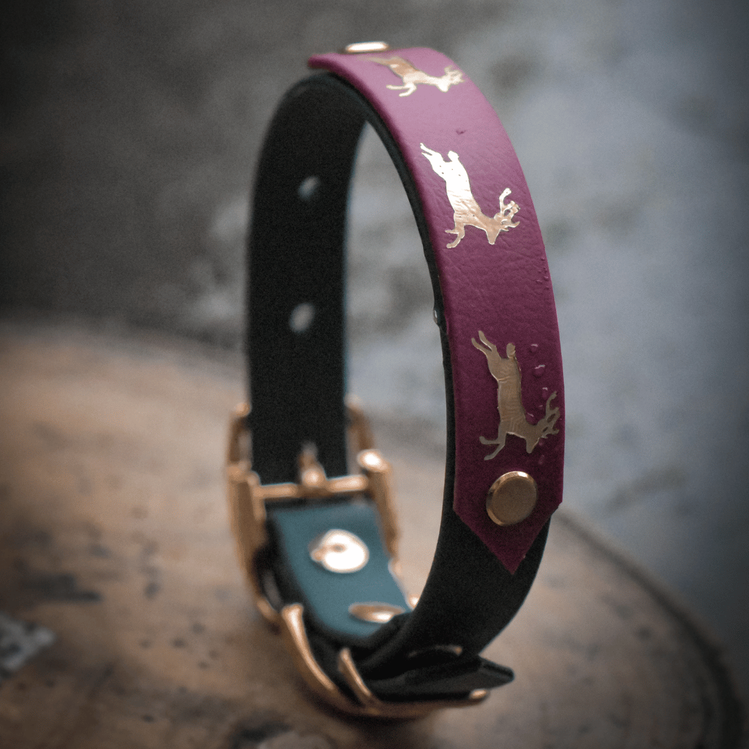 Wine and dark green festive dog collar with gold reindeer