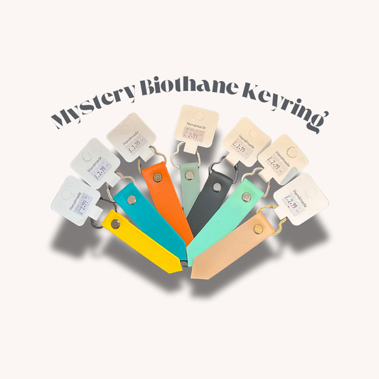 Mystery Biothane Keyring