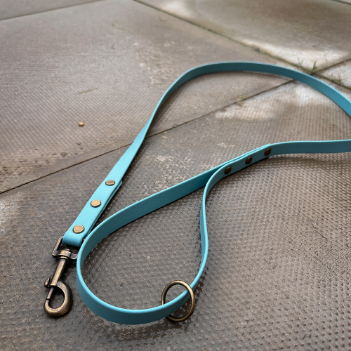 Ready to Ship: Biothane Dog Leads