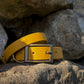 Ready to Ship: Bee Collars