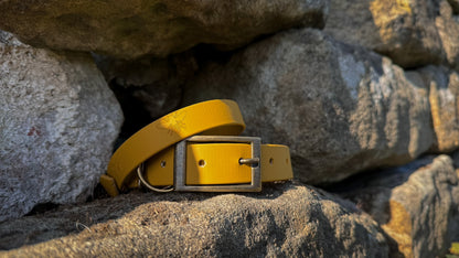 Ready to Ship: Bee Collars