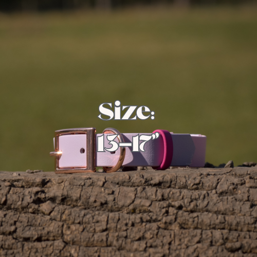 13-17" Dog Collars