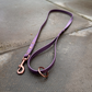 Ready to Ship: Biothane Dog Leads