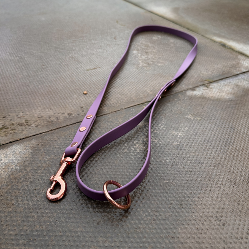 Ready to Ship: Biothane Dog Leads