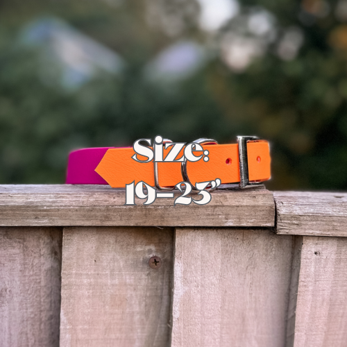19-23" Dog Collars