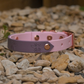 Ready to Ship: Bee Collars