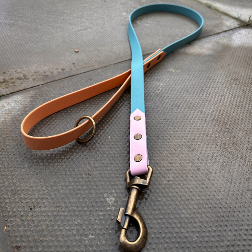 Ready to Ship: Biothane Dog Leads