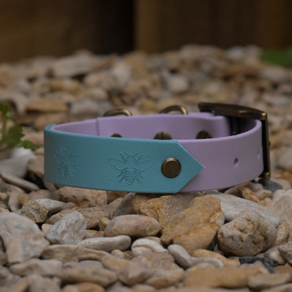 Ready to Ship: Bee Collars