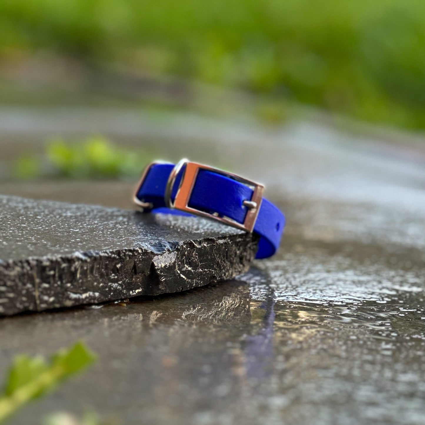 Blue Dog Collars