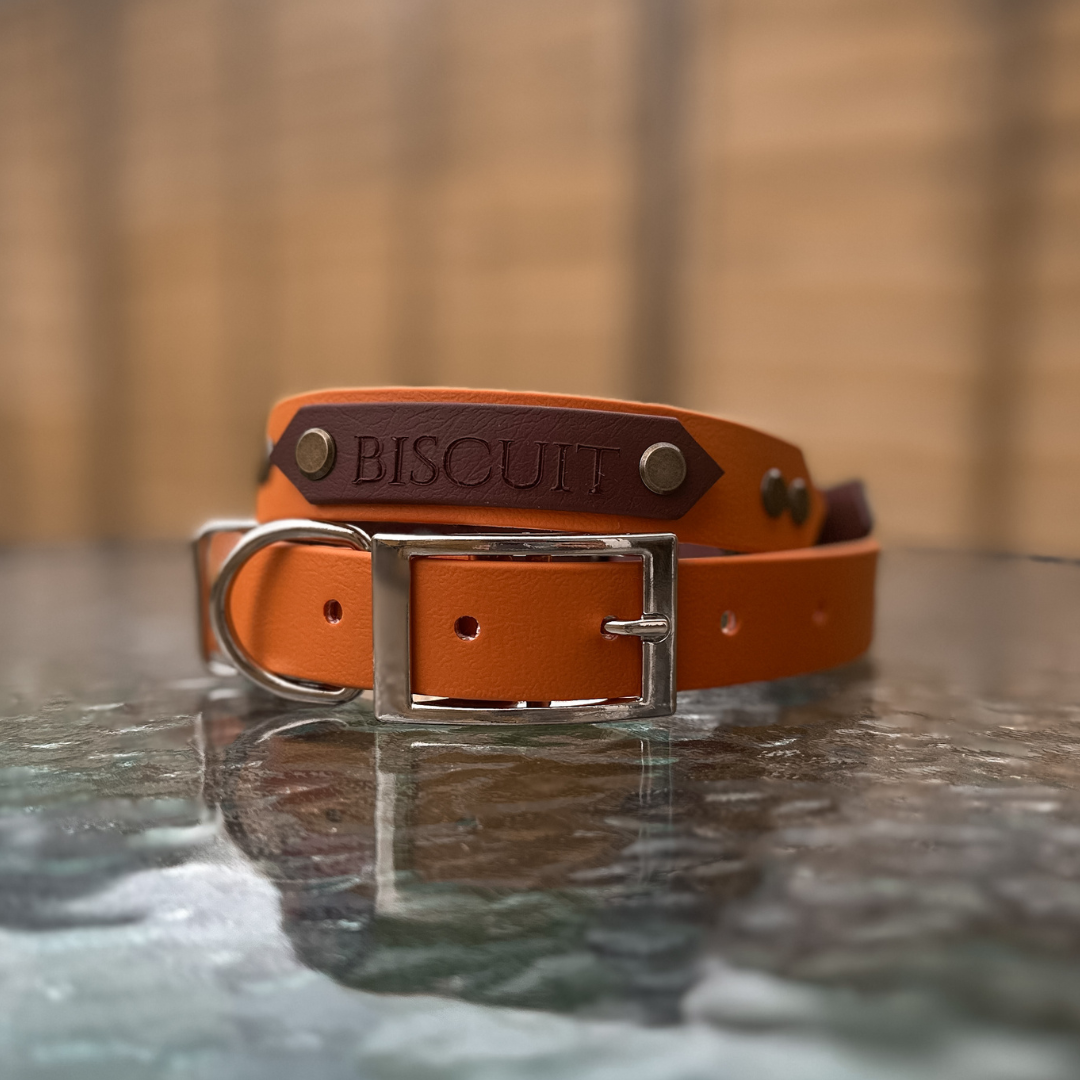 Saddle Brown & Burnt Orange Collars