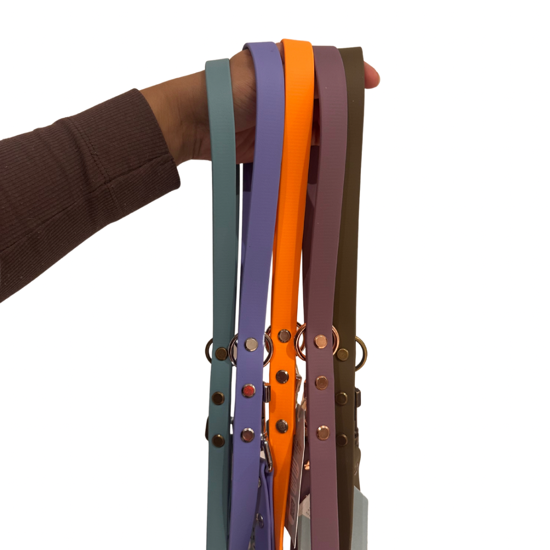 Core Collection Clip Leads