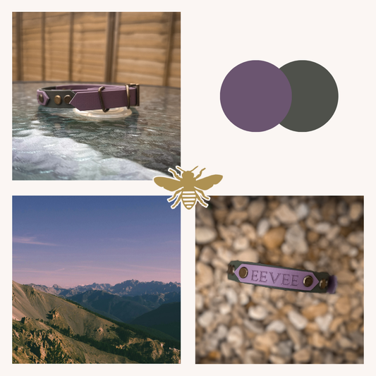 Mauve and Foliage Green Collars