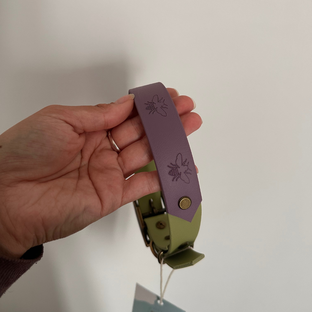 Ready to Ship: Bee Collars