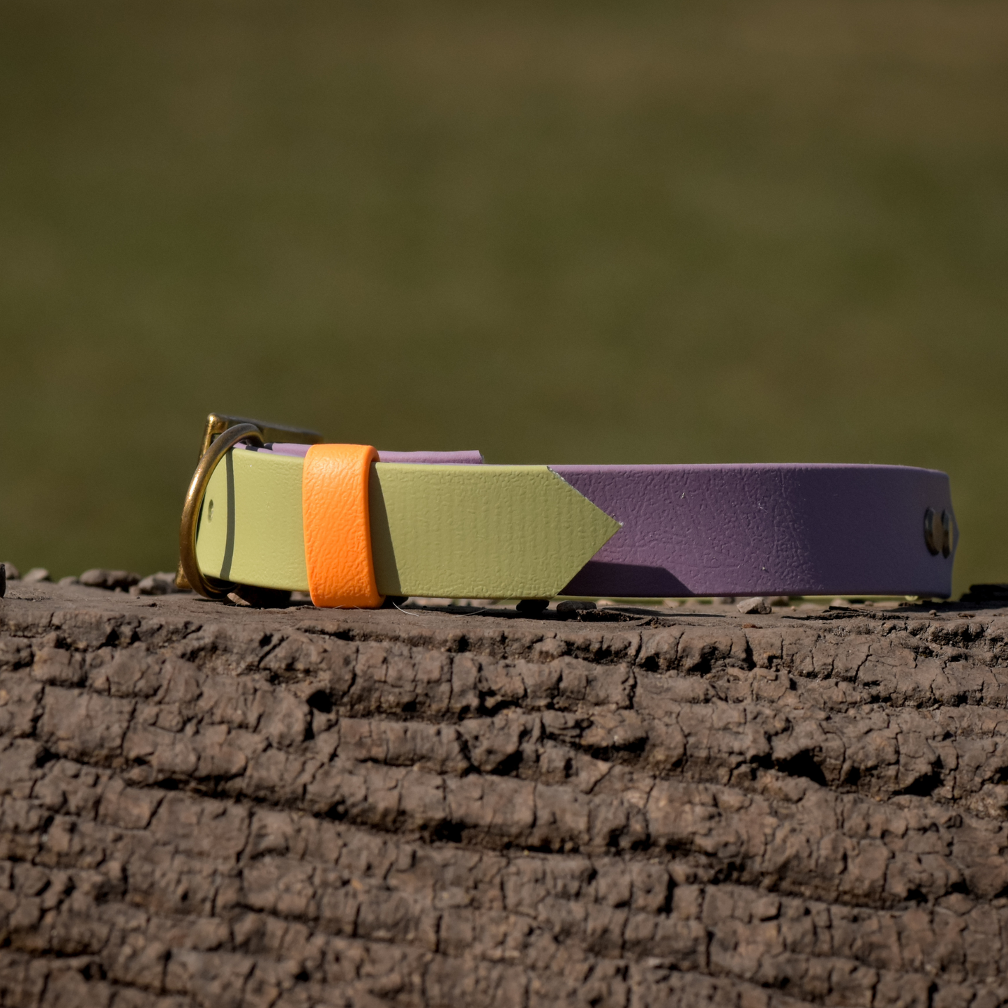 Ready to Ship: Summer Two Tone Collars