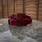 10-14" Dog Collars