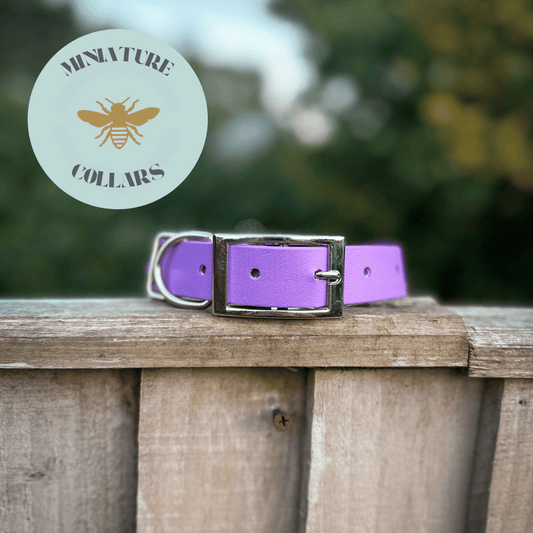 Miniature Classic Collars