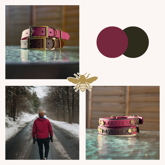 Merlot and Dark Chocolate Brown Collars