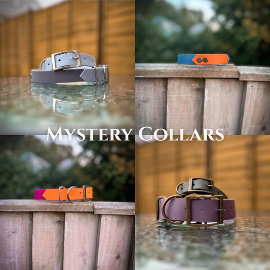 Collage of various dog collars on wooden surfaces with 'Mystery Collars' text.