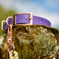 A purple dog collar with rose gold hardware and a hanging wooden tag, displayed on a tree stump outdoors.