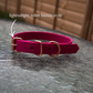10-14" Dog Collars