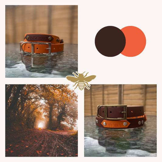 Saddle Brown & Burnt Orange Collars