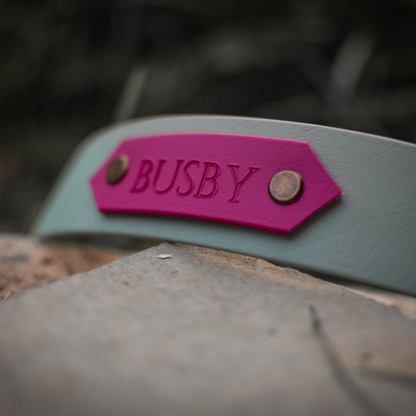 Sage green personalised dog collar with name busby on a pink nameplate 