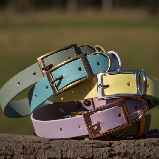 Ready to Ship: Summer Two Tone Collars