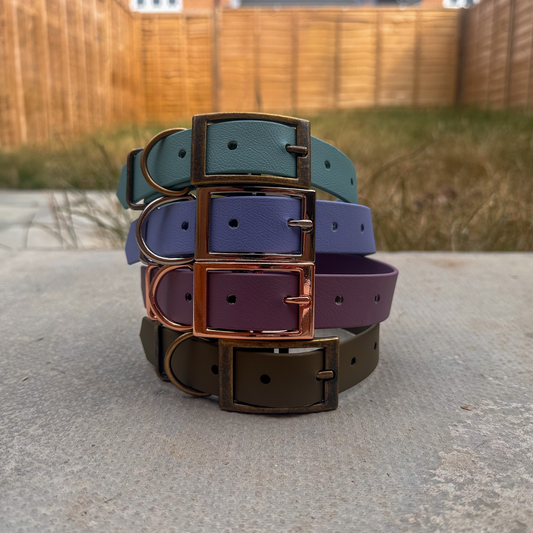 Core Collection Classic Collars