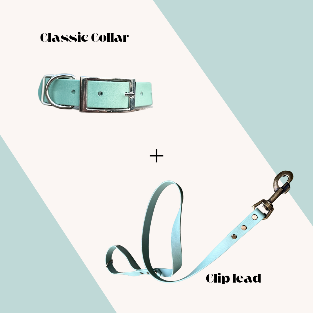 Classic Biothane Collar and Lead Set