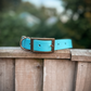 Ready to Ship: Classic Collars