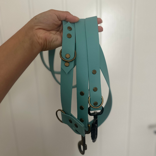 Core Collection Multiway Leads
